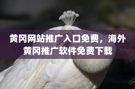 黄冈网站推广入口免费，海外黄冈推广软件免费下载