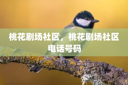 桃花剧场社区，桃花剧场社区电话号码