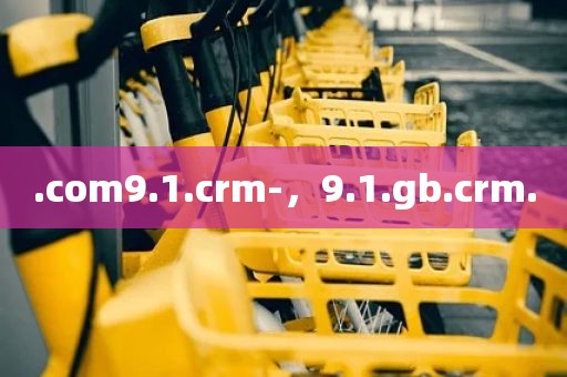 .com9.1.crm-，9.1.gb.crm.