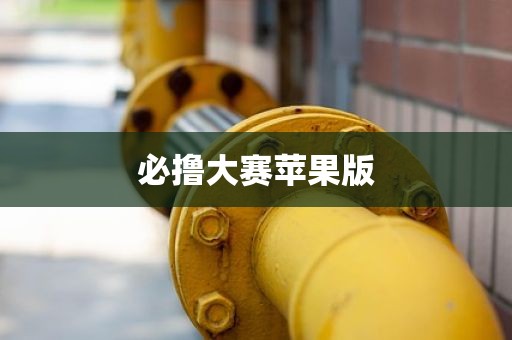 必撸大赛苹果版