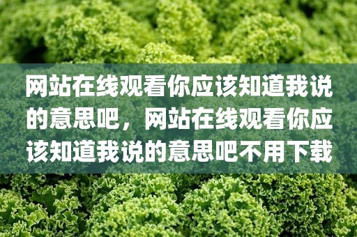 网站在线观看你应该知道我说的意思吧，网站在线观看你应该知道我说的意思吧不用下载
