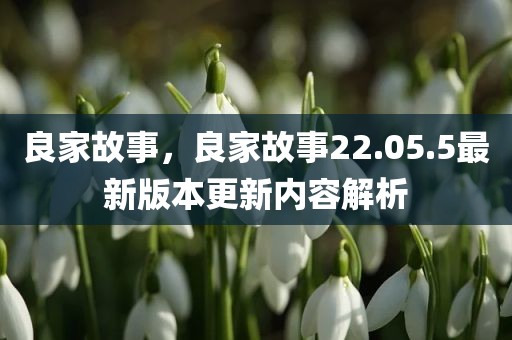 良家故事，良家故事22.05.5最新版本更新内容解析