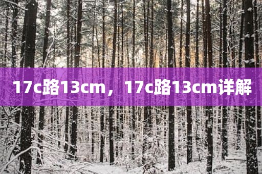 17c路13cm，17c路13cm详解