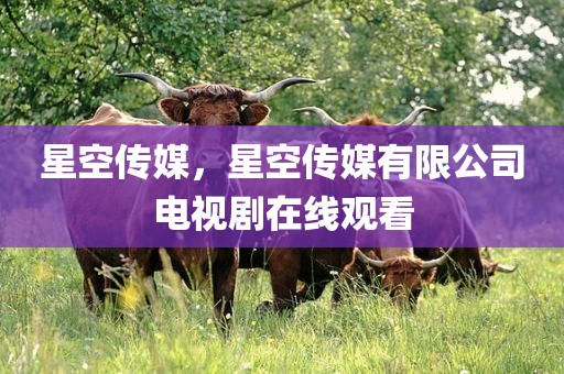 星空传媒，星空传媒有限公司电视剧在线观看