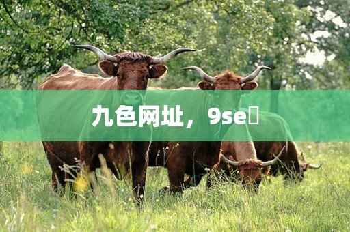 九色网址，9se 