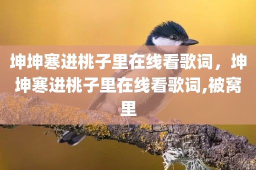 坤坤寒进桃子里在线看歌词，坤坤寒进桃子里在线看歌词,被窝里