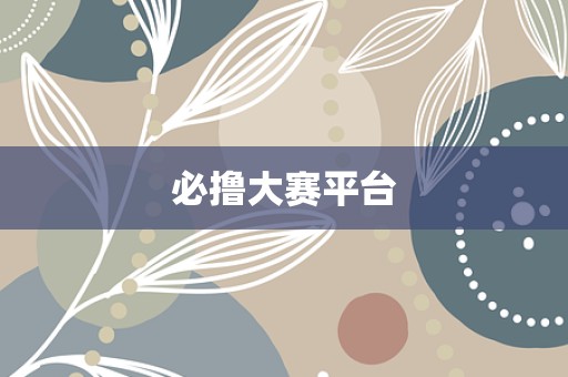 必撸大赛平台