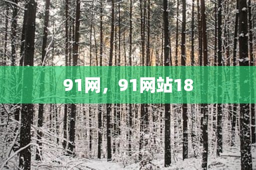 91网，91网站18