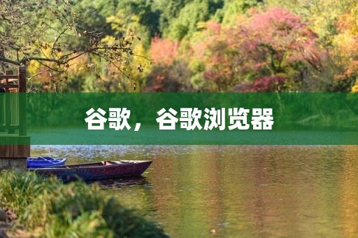 谷歌，谷歌浏览器