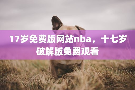 17岁免费版网站nba，十七岁破解版免费观看