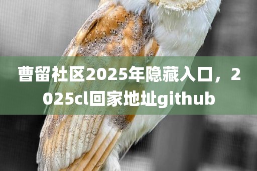 曹留社区2025年隐藏入口，2025cl回家地址github
