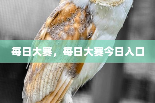 每日大赛，每日大赛今日入口