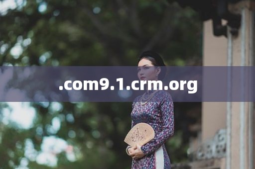 .com9.1.crm.org