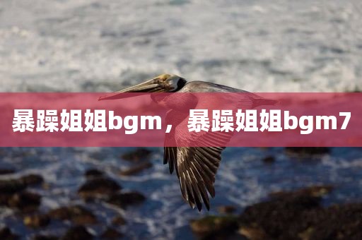 暴躁姐姐bgm，暴躁姐姐bgm7