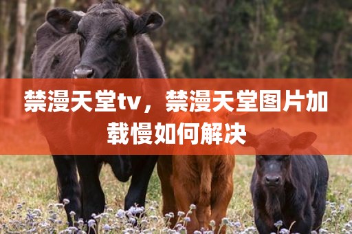 禁漫天堂tv，禁漫天堂图片加载慢如何解决