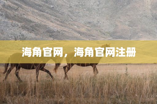 海角官网，海角官网注册