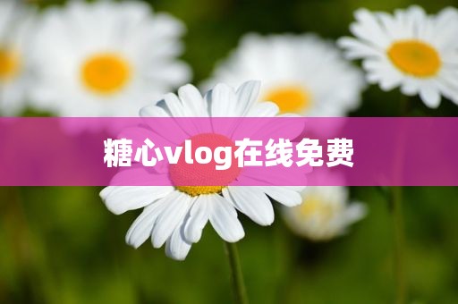 糖心vlog在线免费