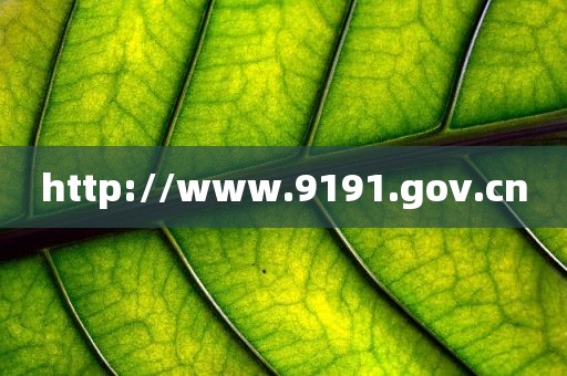 http://www.9191.gov.cn