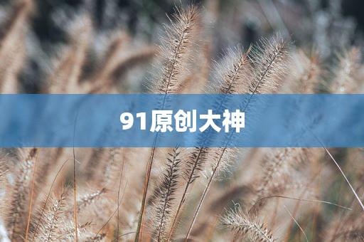 91原创大神