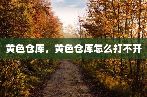黄色仓库，黄色仓库怎么打不开