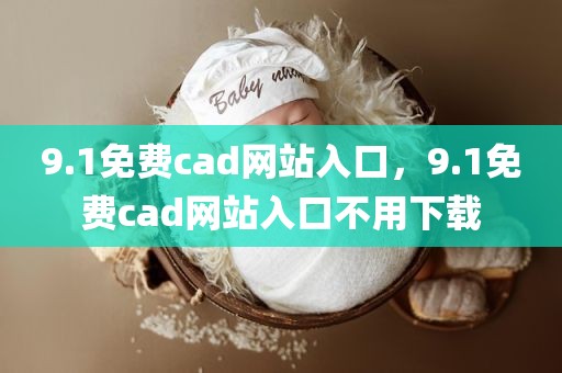 9.1免费cad网站入口，9.1免费cad网站入口不用下载