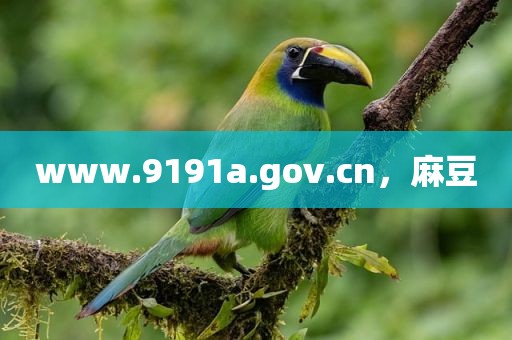 www.9191a.gov.cn，麻豆