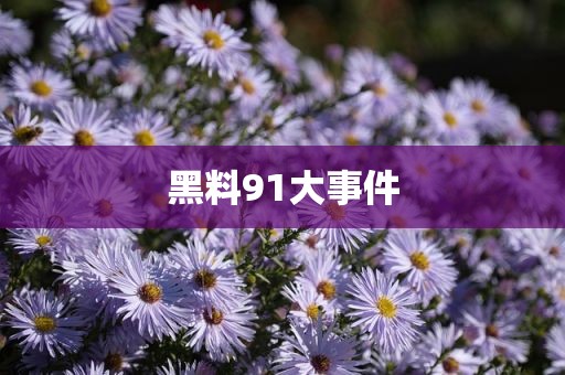 黑料91大事件