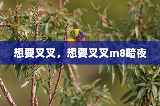 想要叉叉，想要叉叉m8暗夜