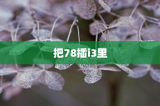 把78插i3里