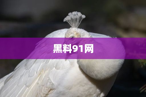 黑料91网
