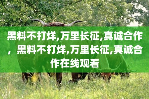 黑料不打烊,万里长征,真诚合作，黑料不打烊,万里长征,真诚合作在线观看