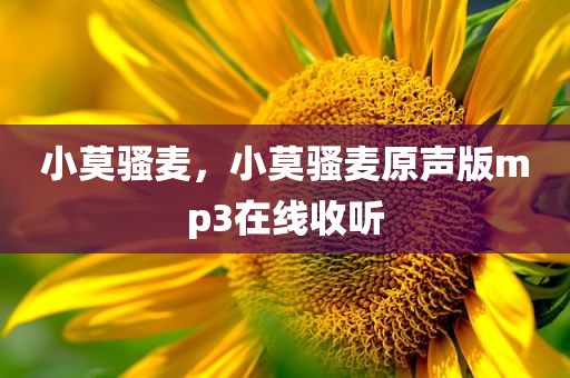 小莫骚麦，小莫骚麦原声版mp3在线收听