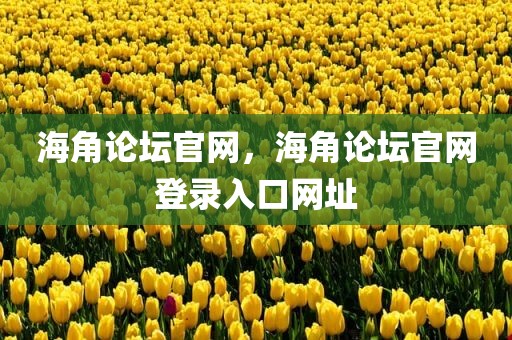 海角论坛官网，海角论坛官网登录入口网址