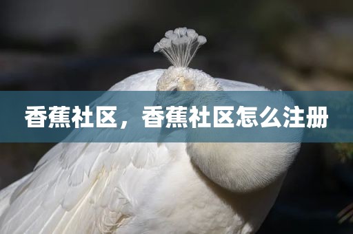 香蕉社区，香蕉社区怎么注册