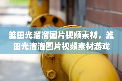 雏田光溜溜图片视频素材，雏田光溜溜图片视频素材游戏