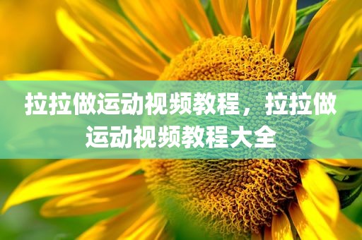 拉拉做运动视频教程，拉拉做运动视频教程大全