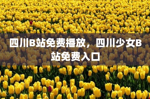 四川B站免费播放，四川少女B站免费入口