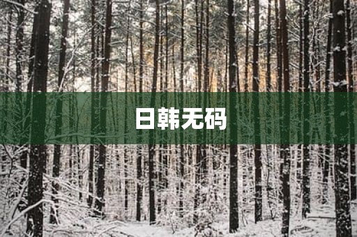 日韩无码