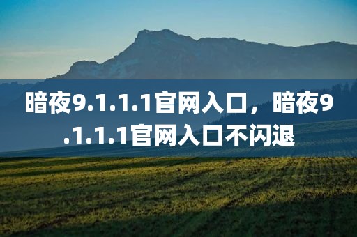 暗夜9.1.1.1官网入口，暗夜9.1.1.1官网入口不闪退