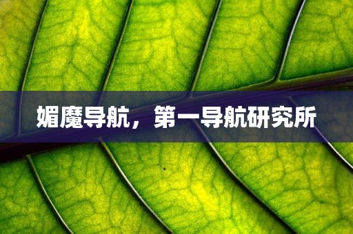 媚魔导航，第一导航研究所