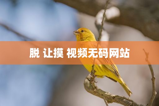 脱 让摸 视频无码网站