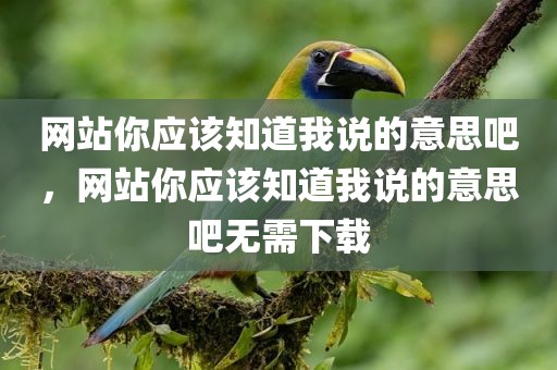 网站你应该知道我说的意思吧，网站你应该知道我说的意思吧无需下载