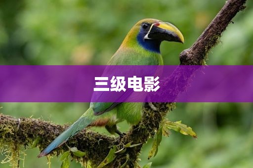 三级电影