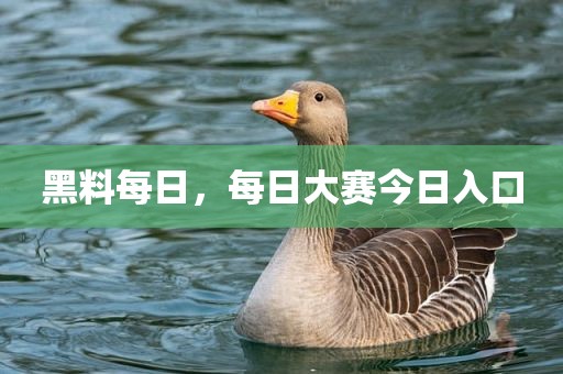 黑料每日，每日大赛今日入口