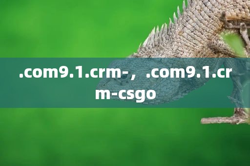 .com9.1.crm-，.com9.1.crm-csgo