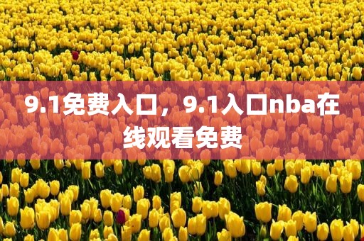 9.1免费入口，9.1入口nba在线观看免费