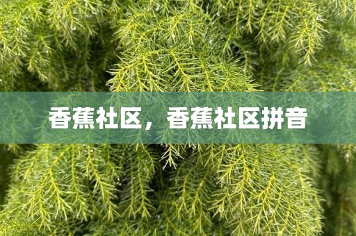 香蕉社区，香蕉社区拼音