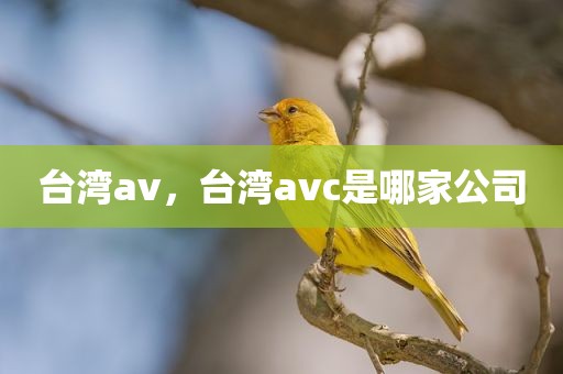 台湾av，台湾avc是哪家公司