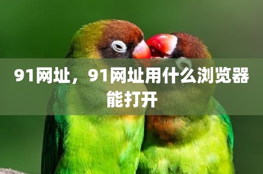 91网址，91网址用什么浏览器能打开