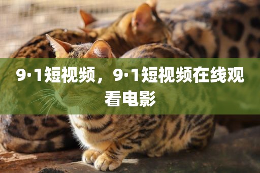 9·1短视频，9·1短视频在线观看电影